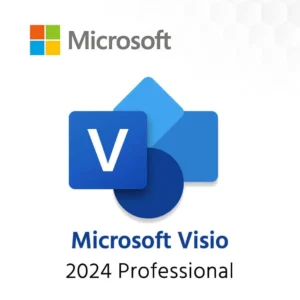 Microsoft Visio 2024 Professional Bind Version (Email Delivery) (Global Code) - Image 1